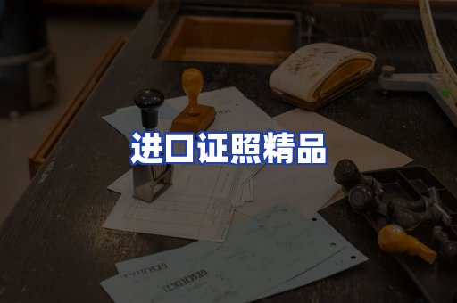 进口证件页面制证
